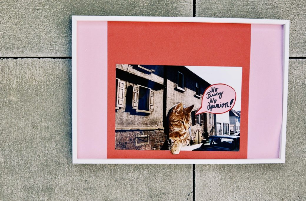 Collage: Katze schaut aus dem Haus mit einer Sprechblase 'No pussy, No opinion' in kindlicher Schreibschrift. 